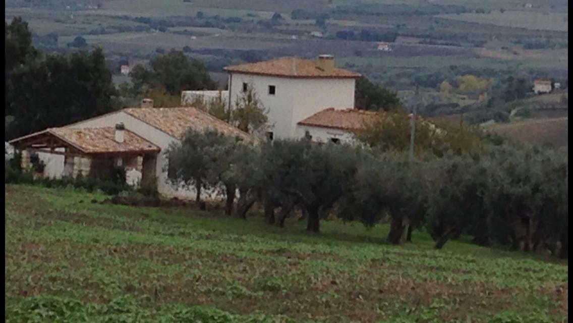 Villa Angiolina, Molise Guglionesi Dış mekan fotoğraf